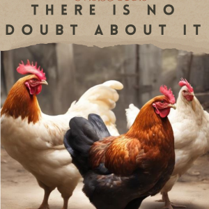 Illustrated Video - 05:59 – There Is No Doubt About It – Hans Christian Anderson