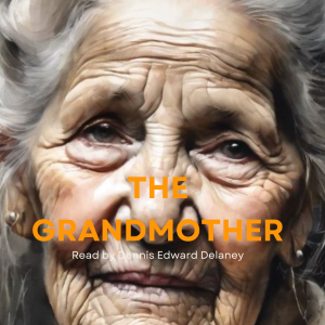 Illustrated Video - 06:07 – The Grandma – Hans Christian Anderson